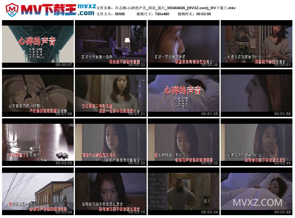 许志刚-心碎的声音_国语_流行_MD404926
